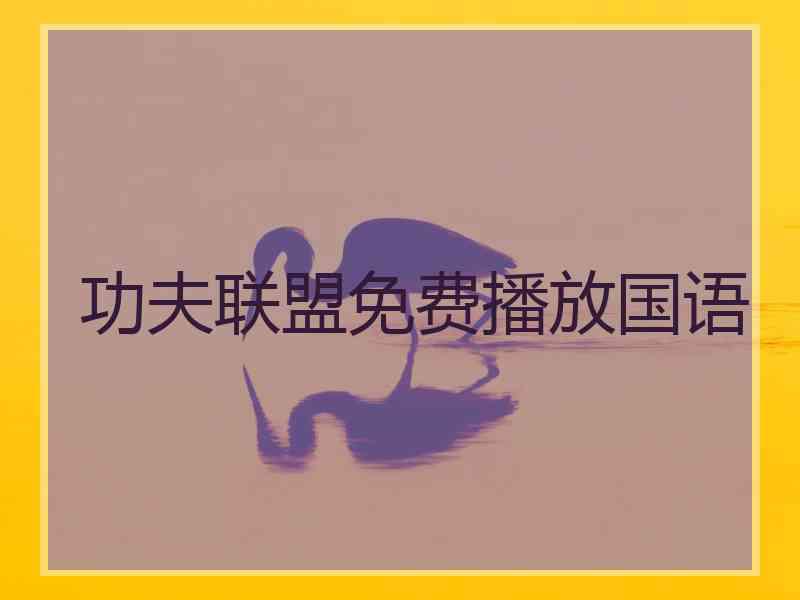 功夫联盟免费播放国语