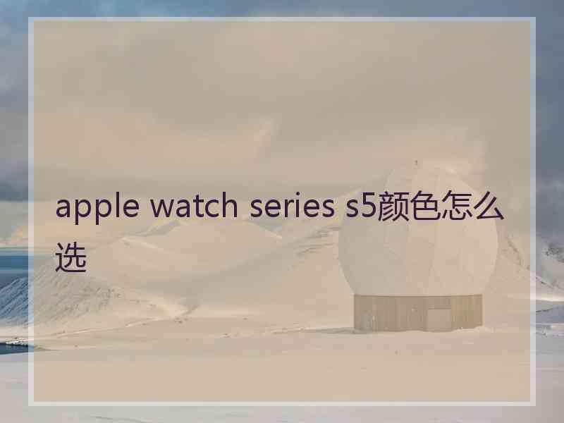 apple watch series s5颜色怎么选