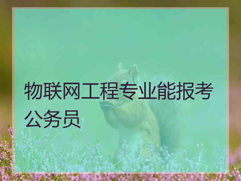 物联网工程专业能报考公务员