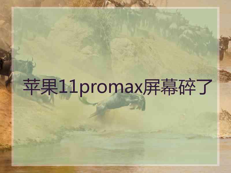 苹果11promax屏幕碎了