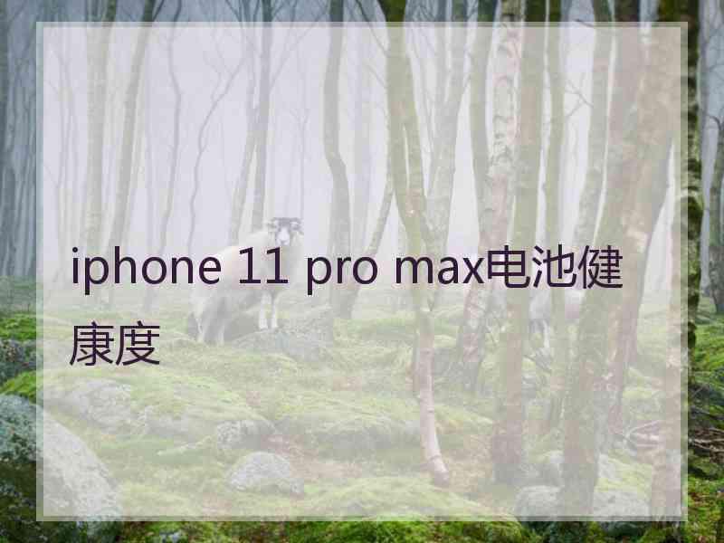 iphone 11 pro max电池健康度