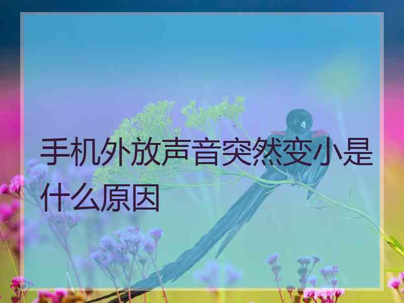 手机外放声音突然变小是什么原因