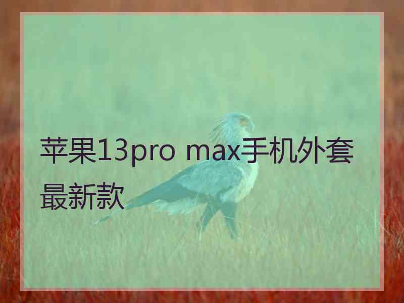 苹果13pro max手机外套最新款