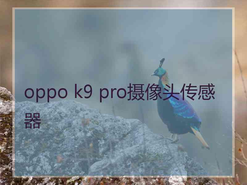 oppo k9 pro摄像头传感器