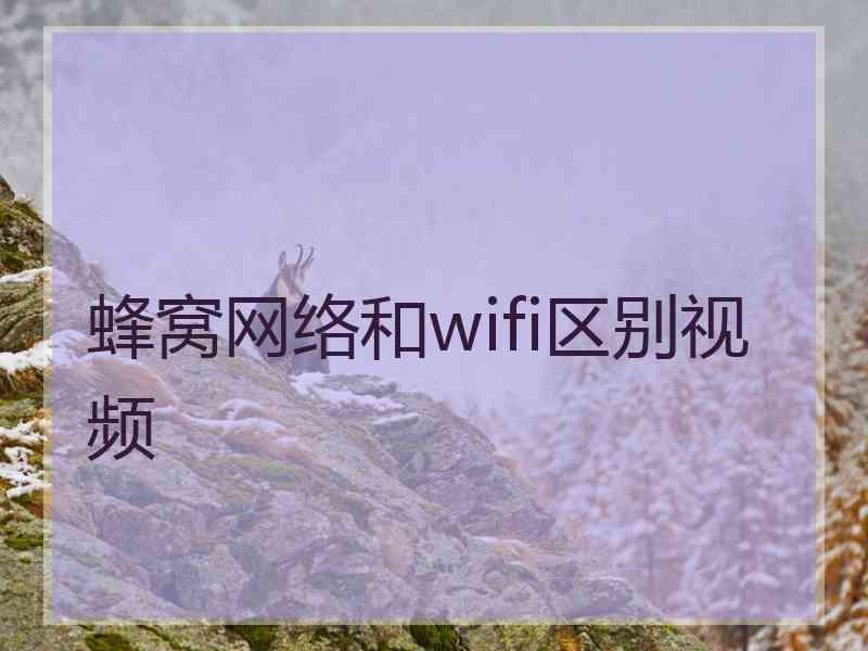 蜂窝网络和wifi区别视频