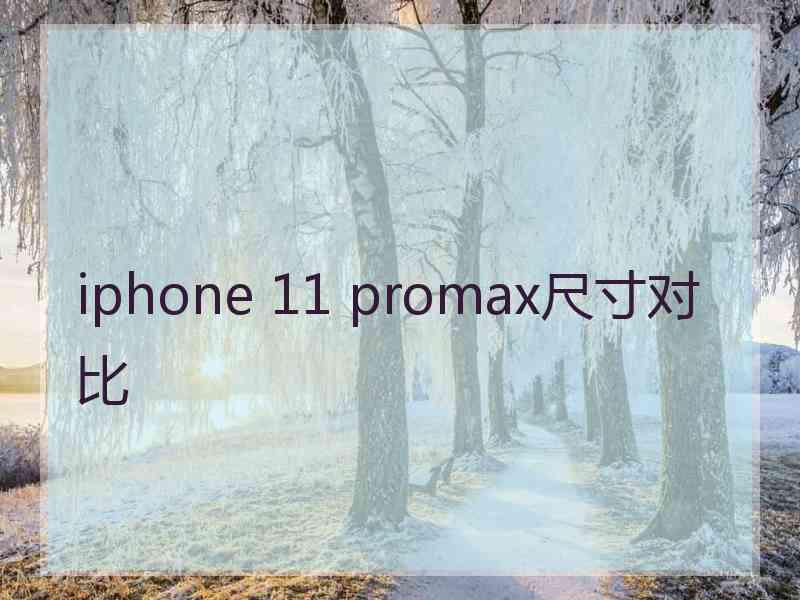 iphone 11 promax尺寸对比