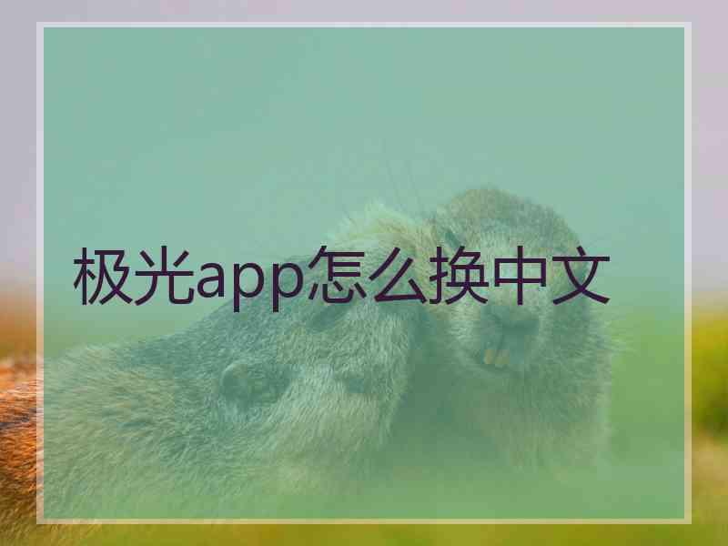 极光app怎么换中文