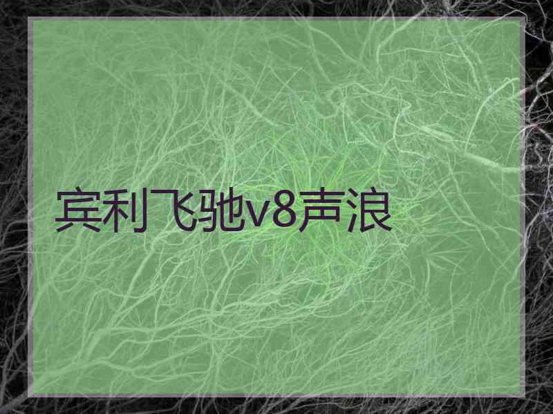 宾利飞驰v8声浪