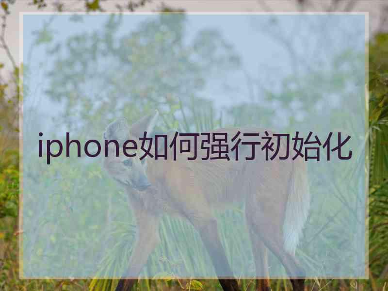 iphone如何强行初始化