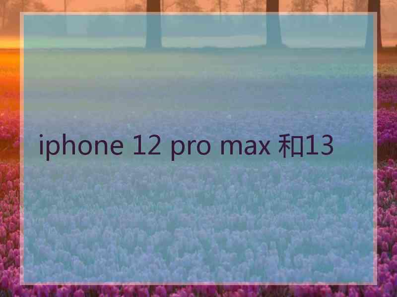 iphone 12 pro max 和13