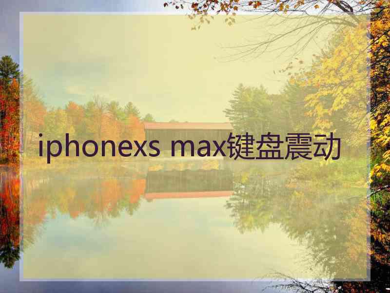 iphonexs max键盘震动