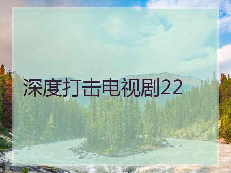 深度打击电视剧22