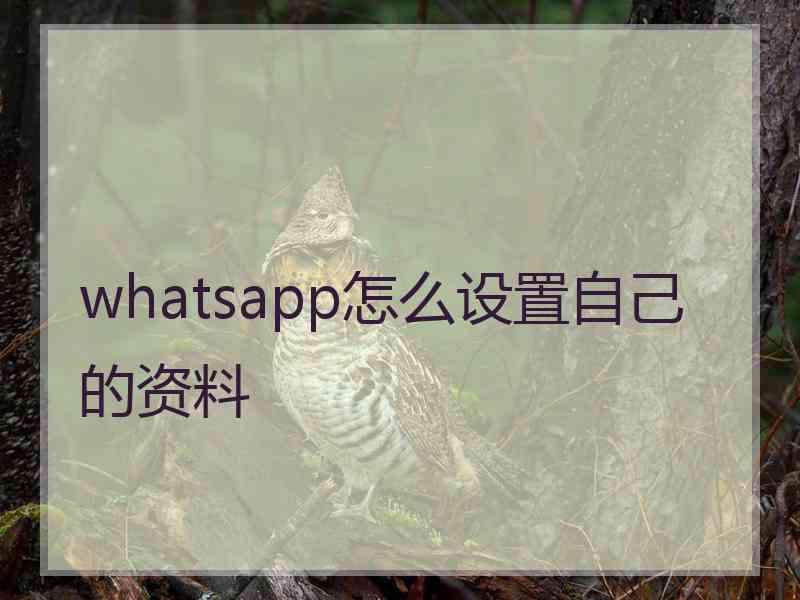 whatsapp怎么设置自己的资料