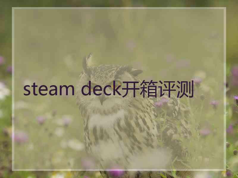 steam deck开箱评测