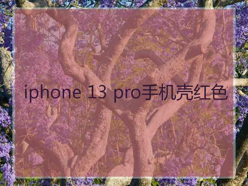 iphone 13 pro手机壳红色