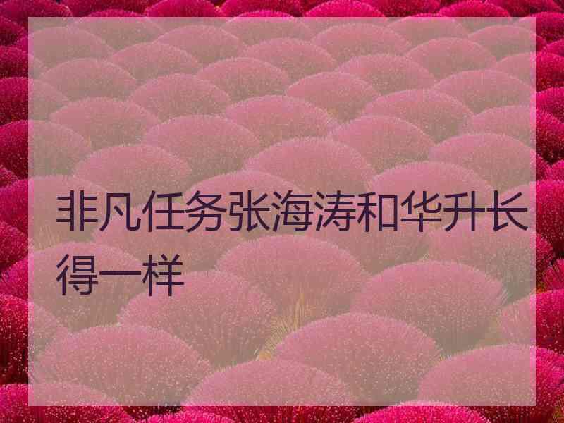 非凡任务张海涛和华升长得一样