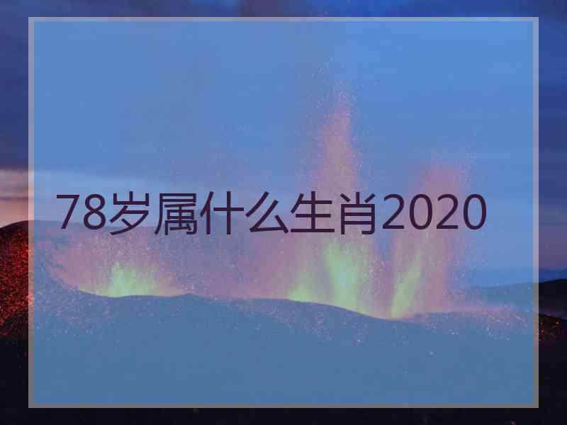 78岁属什么生肖2020