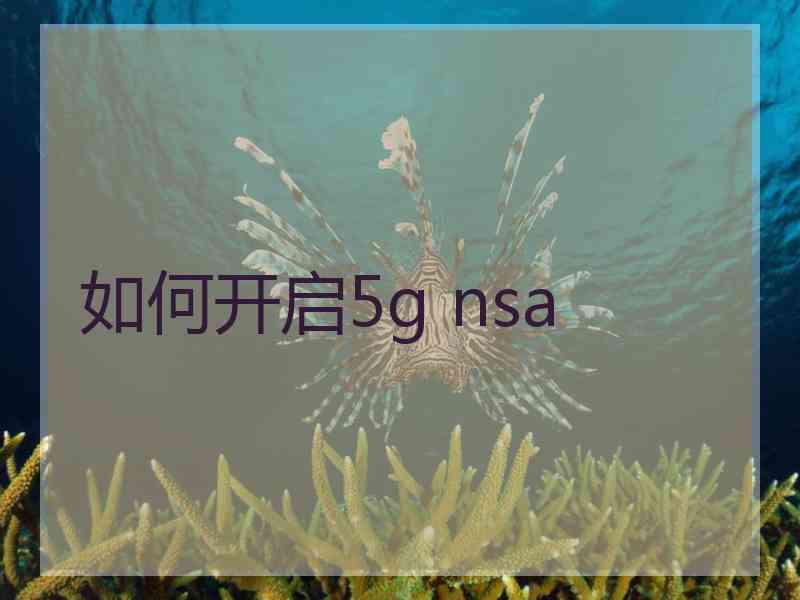 如何开启5g nsa