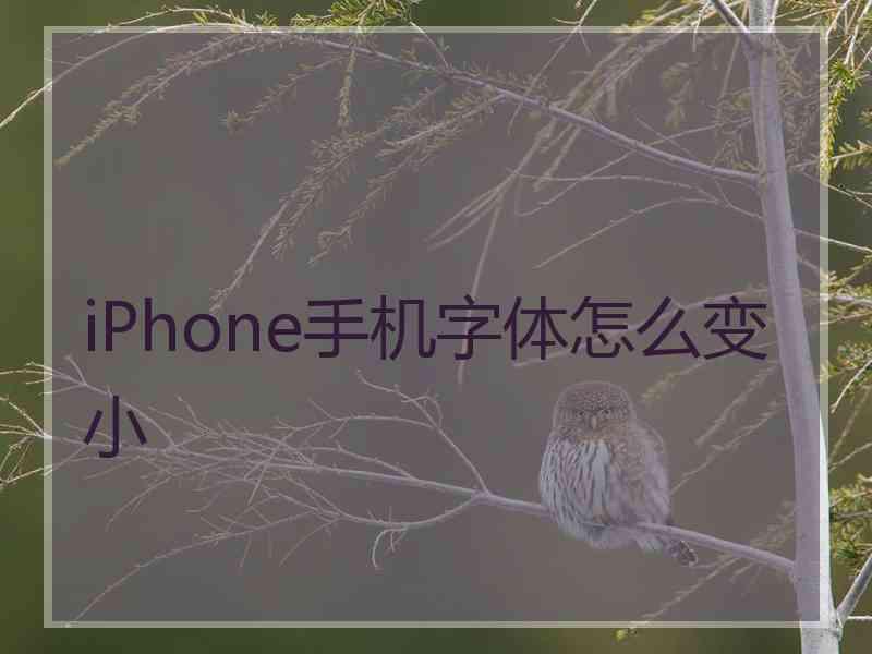 iPhone手机字体怎么变小