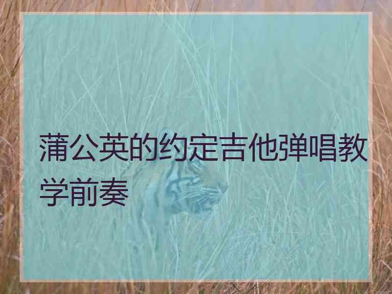 蒲公英的约定吉他弹唱教学前奏