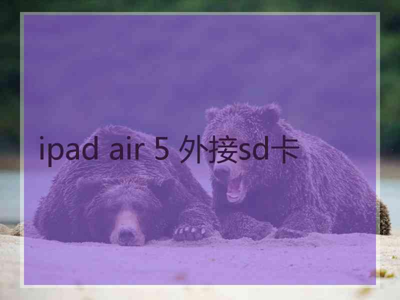 ipad air 5 外接sd卡