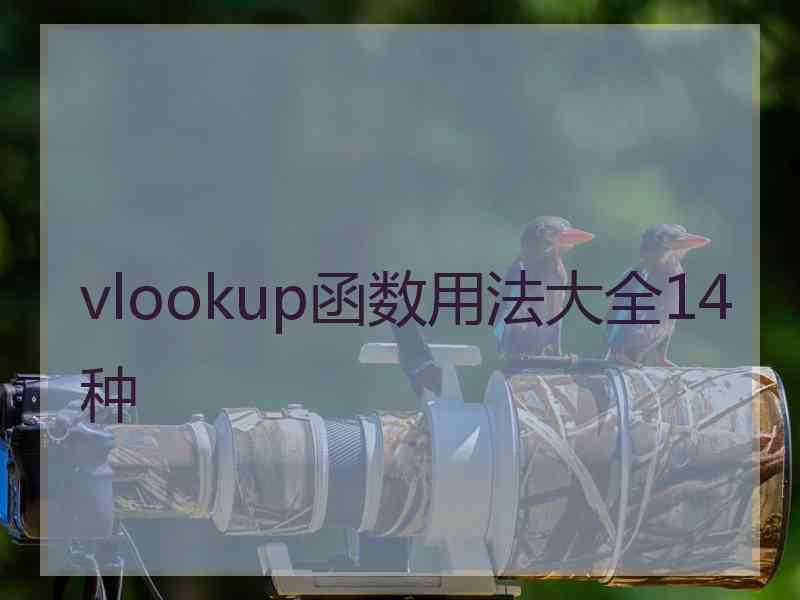 vlookup函数用法大全14种