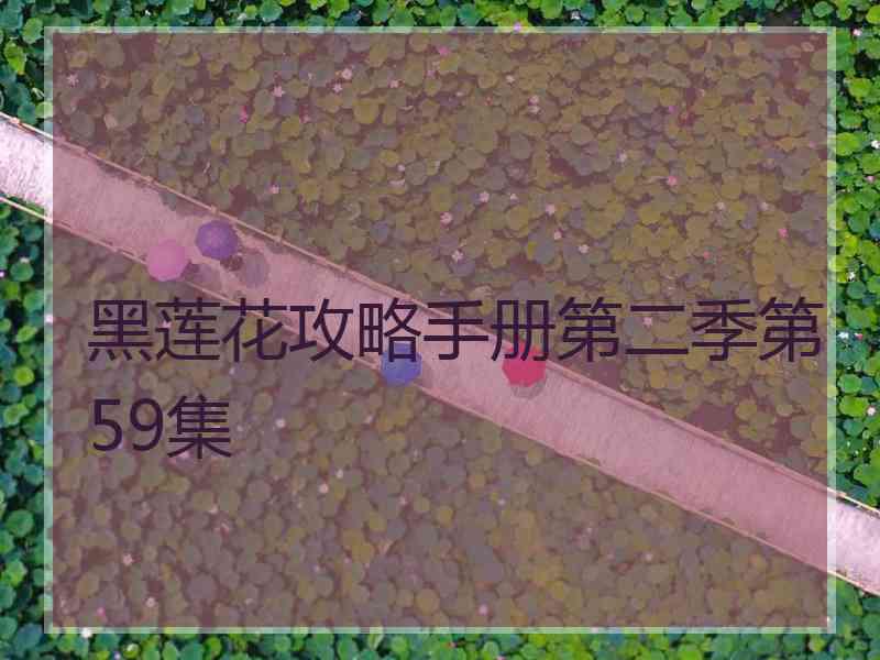 黑莲花攻略手册第二季第59集