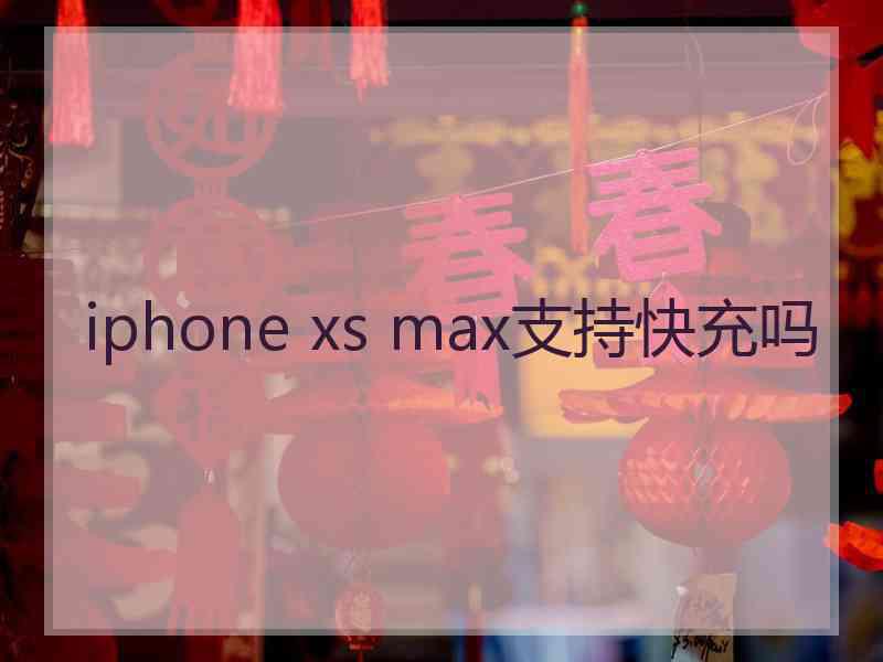 iphone xs max支持快充吗