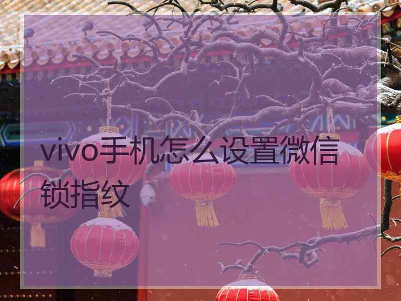 vivo手机怎么设置微信锁指纹