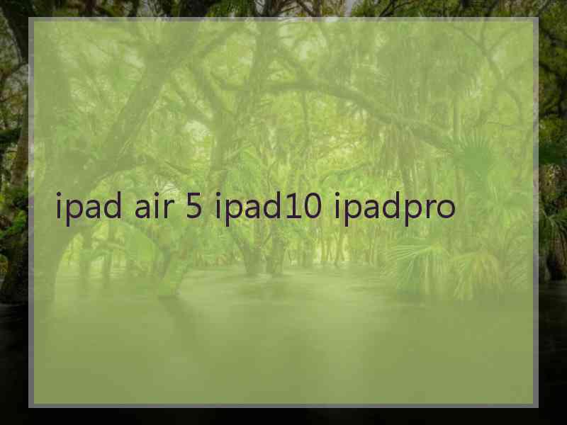 ipad air 5 ipad10 ipadpro