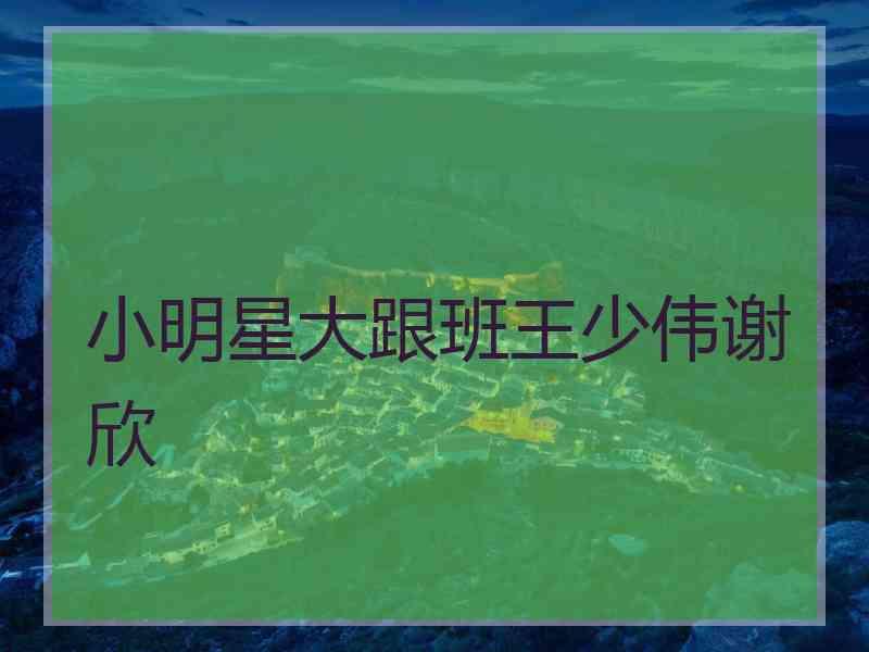 小明星大跟班王少伟谢欣