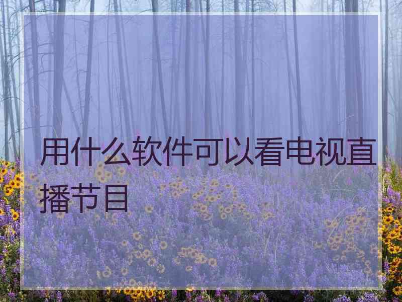 用什么软件可以看电视直播节目