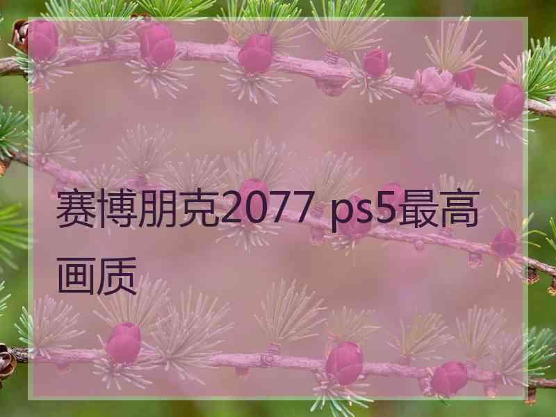 赛博朋克2077 ps5最高画质