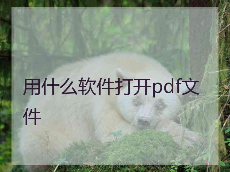 用什么软件打开pdf文件