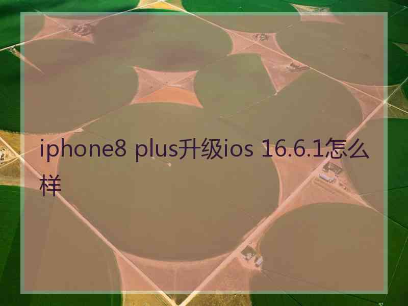 iphone8 plus升级ios 16.6.1怎么样