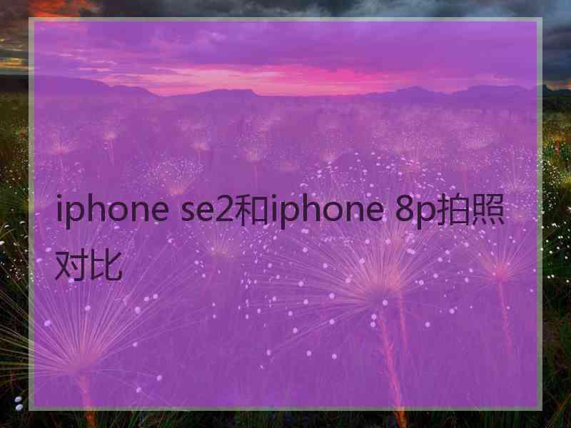 iphone se2和iphone 8p拍照对比