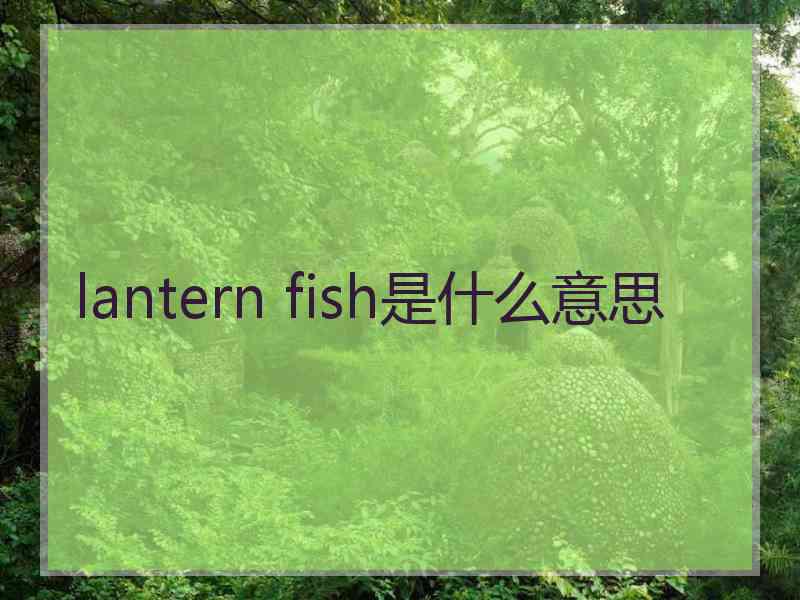 lantern fish是什么意思