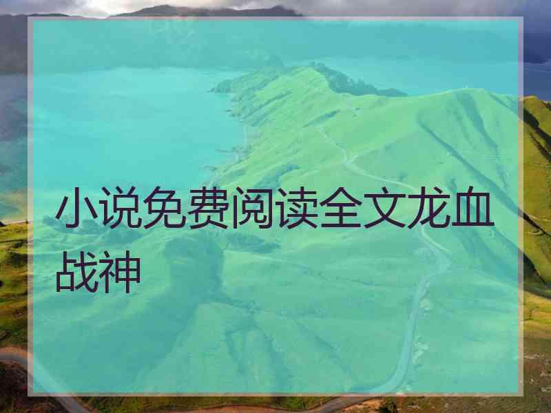 小说免费阅读全文龙血战神