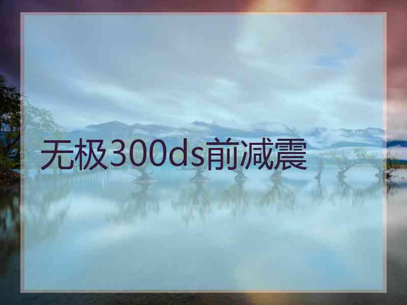 无极300ds前减震