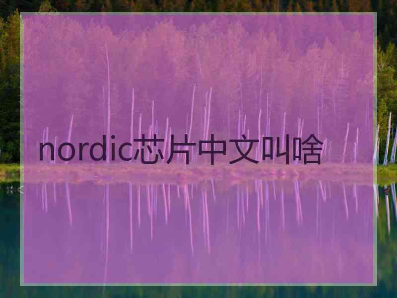 nordic芯片中文叫啥