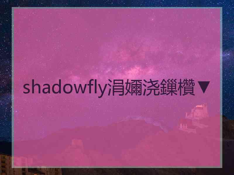 shadowfly涓嬭浇鏁欑▼