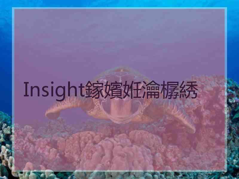 Insight鎵嬪姙瀹樼綉