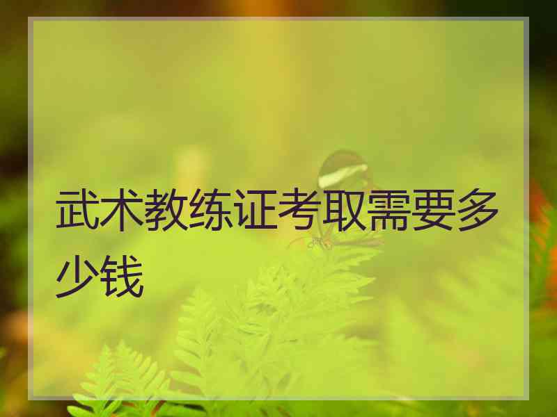 武术教练证考取需要多少钱