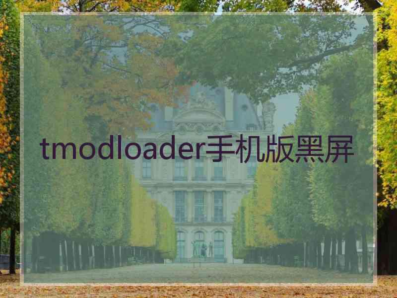 tmodloader手机版黑屏