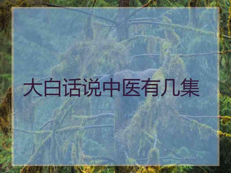 大白话说中医有几集