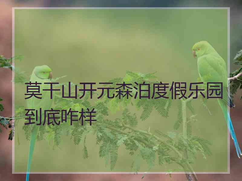 莫干山开元森泊度假乐园到底咋样