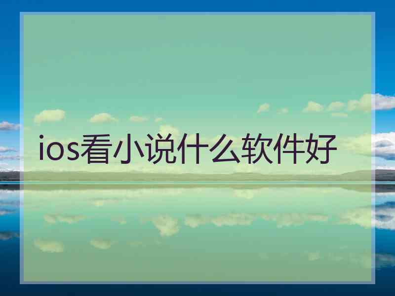 ios看小说什么软件好