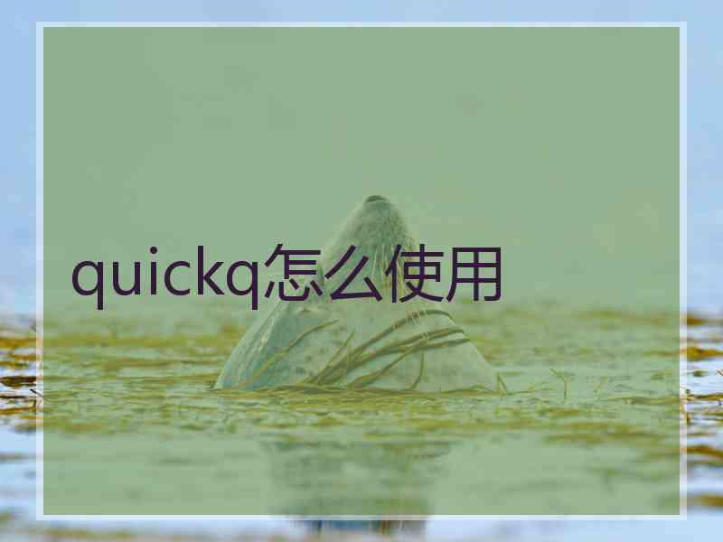 quickq怎么使用