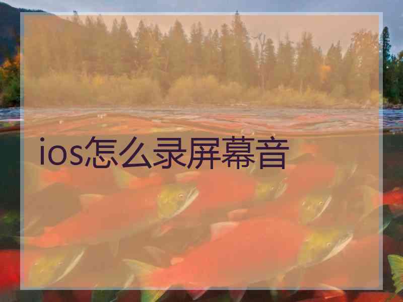 ios怎么录屏幕音