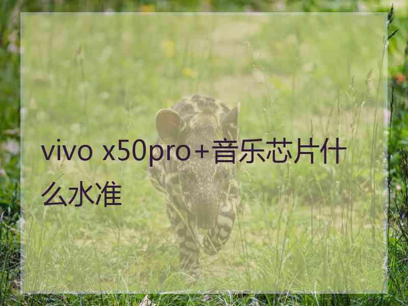 vivo x50pro+音乐芯片什么水准